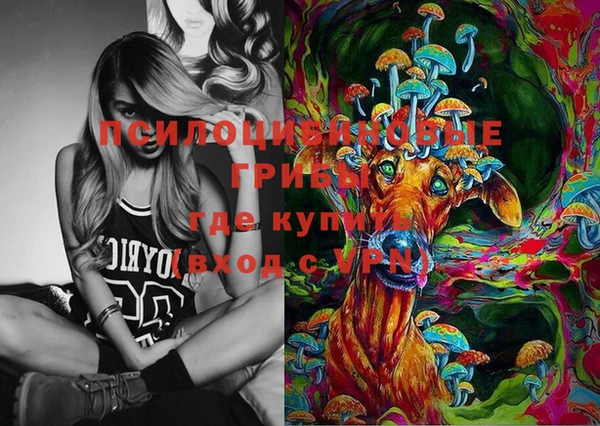 ECSTASY Балахна
